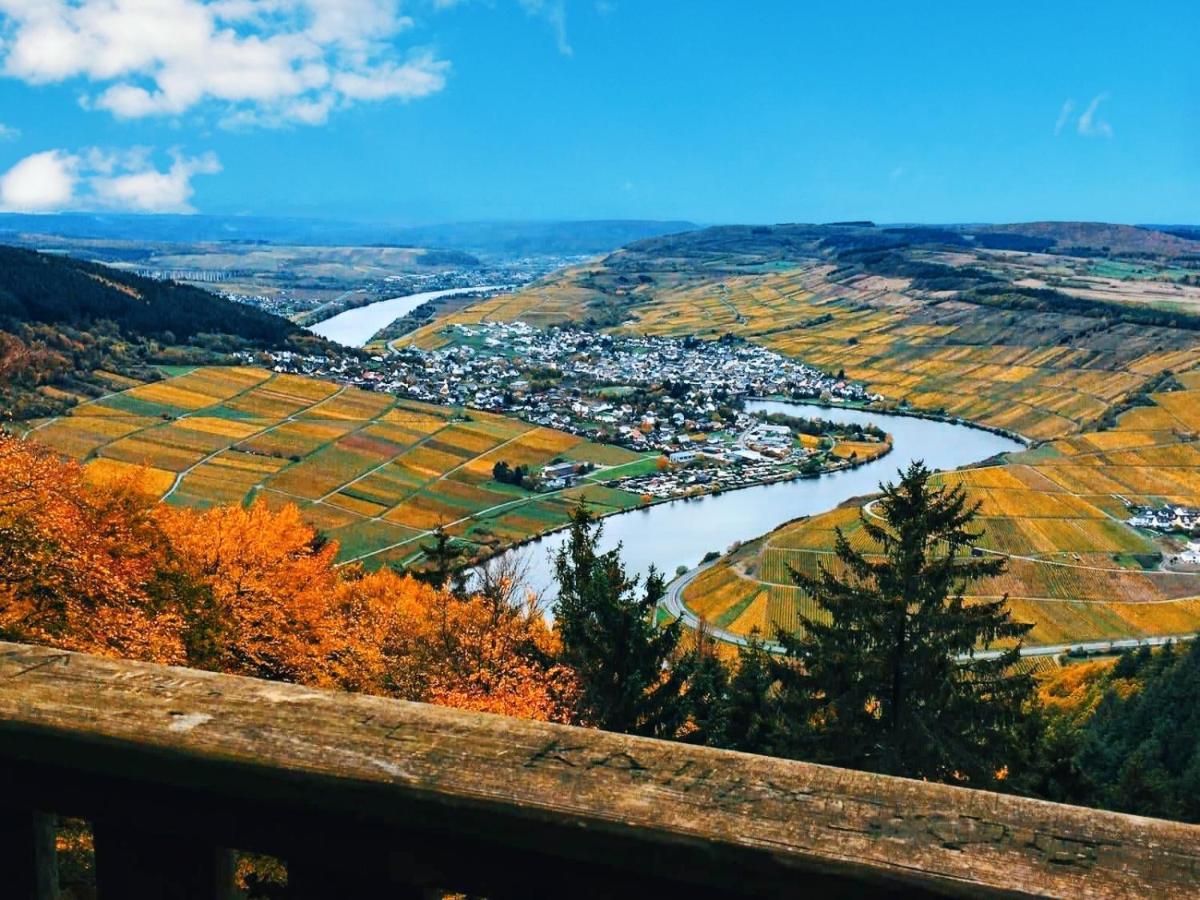 Mosel-Side-Appartements แมร์ริง ภายนอก รูปภาพ